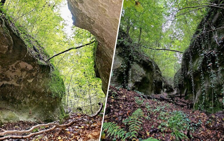 Таємничий каньйон неандертальців на Львівщині: де ховається найдавніша рукотворна пам’ятка України